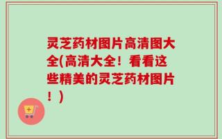 灵芝药材图片高清图大全(高清大全！看看这些精美的灵芝药材图片！)