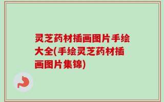 灵芝药材插画图片手绘大全(手绘灵芝药材插画图片集锦)
