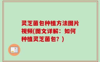 灵芝菌包种植方法图片视频(图文详解：如何种植灵芝菌包？)