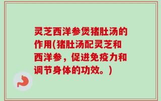 灵芝西洋参煲猪肚汤的作用(猪肚汤配灵芝和西洋参，促进免疫力和调节身体的功效。)