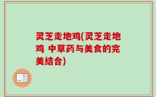 灵芝走地鸡(灵芝走地鸡 中草药与美食的完美结合)