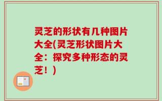灵芝的形状有几种图片大全(灵芝形状图片大全：探究多种形态的灵芝！)