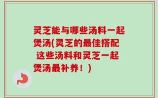 灵芝能与哪些汤料一起煲汤(灵芝的最佳搭配 这些汤料和灵芝一起煲汤最补养！)