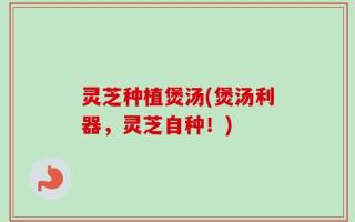 灵芝种植煲汤(煲汤利器，灵芝自种！)