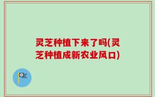 灵芝种植下来了吗(灵芝种植成新农业风口)