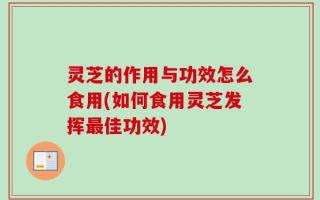 灵芝的作用与功效怎么食用(如何食用灵芝发挥最佳功效)