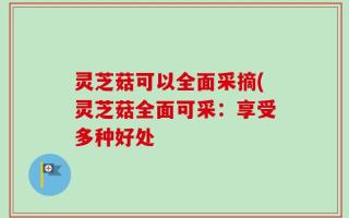 灵芝菇可以全面采摘(灵芝菇全面可采：享受多种好处