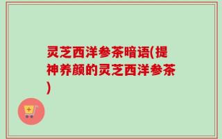 灵芝西洋参茶暗语(提神养颜的灵芝西洋参茶)
