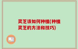 灵芝该如何种植(种植灵芝的方法和技巧)