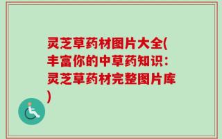 灵芝草药材图片大全(丰富你的中草药知识：灵芝草药材完整图片库)