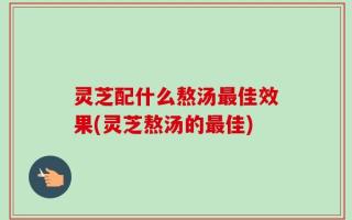 灵芝配什么熬汤最佳效果(灵芝熬汤的最佳)
