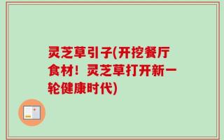灵芝草引子(开挖餐厅食材！灵芝草打开新一轮健康时代)