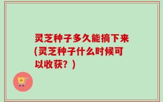 灵芝种子多久能摘下来(灵芝种子什么时候可以收获？)