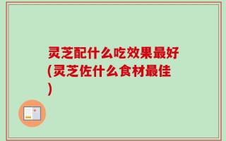 灵芝配什么吃效果最好(灵芝佐什么食材最佳)