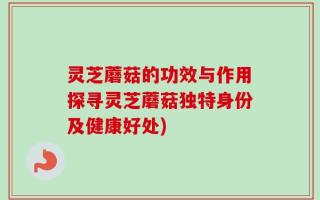 灵芝蘑菇的功效与作用探寻灵芝蘑菇独特身份及健康好处)