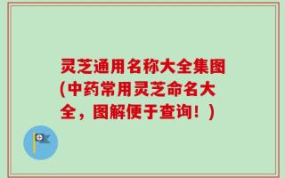灵芝通用名称大全集图(中药常用灵芝命名大全，图解便于查询！)