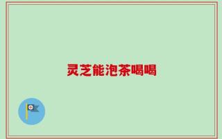 灵芝能泡茶喝喝