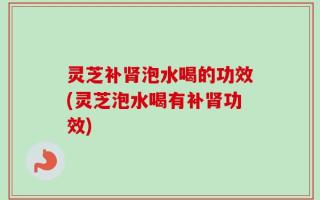 灵芝补肾泡水喝的功效(灵芝泡水喝有补肾功效)