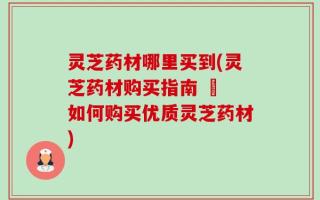 灵芝药材哪里买到(灵芝药材购买指南 – 如何购买优质灵芝药材)