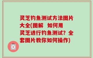 灵芝钓鱼测试方法图片大全(图解  如何用灵芝进行钓鱼测试？全套图片教你如何操作)