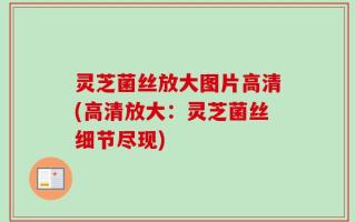 灵芝菌丝放大图片高清(高清放大：灵芝菌丝细节尽现)