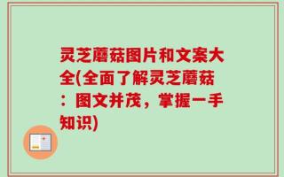 灵芝蘑菇图片和文案大全(全面了解灵芝蘑菇：图文并茂，掌握一手知识)