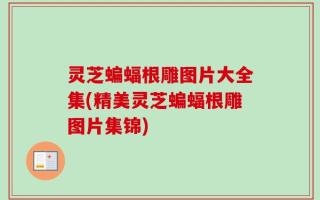 灵芝蝙蝠根雕图片大全集(精美灵芝蝙蝠根雕图片集锦)