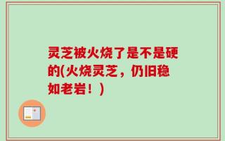 灵芝被火烧了是不是硬的(火烧灵芝，仍旧稳如老岩！)