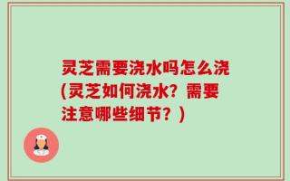 灵芝需要浇水吗怎么浇(灵芝如何浇水？需要注意哪些细节？)