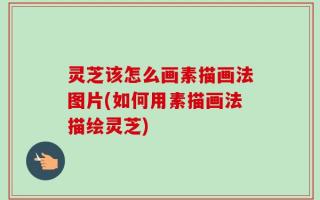 灵芝该怎么画素描画法图片(如何用素描画法描绘灵芝)