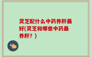 灵芝配什么中药养肝最好(灵芝和哪些中药最养肝？)