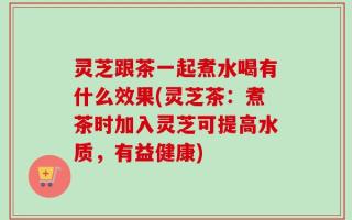 灵芝跟茶一起煮水喝有什么效果(灵芝茶：煮茶时加入灵芝可提高水质，有益健康)