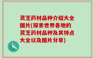 灵芝药材品种介绍大全图片(探索世界各地的灵芝药材品种及其特点大全以及图片分享)