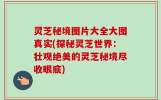 灵芝秘境图片大全大图真实(探秘灵芝世界：壮观绝美的灵芝秘境尽收眼底)