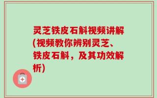 灵芝铁皮石斛视频讲解(视频教你辨别灵芝、铁皮石斛，及其功效解析)