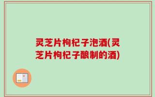 灵芝片枸杞子泡酒(灵芝片枸杞子酿制的酒)