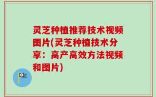 灵芝种植推荐技术视频图片(灵芝种植技术分享：高产高效方法视频和图片)