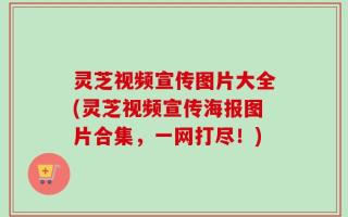 灵芝视频宣传图片大全(灵芝视频宣传海报图片合集，一网打尽！)