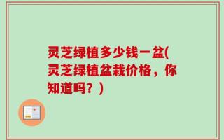灵芝绿植多少钱一盆(灵芝绿植盆栽价格，你知道吗？)