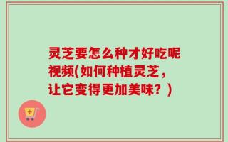 灵芝要怎么种才好吃呢视频(如何种植灵芝，让它变得更加美味？)