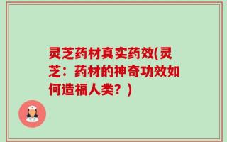 灵芝药材真实药效(灵芝：药材的神奇功效如何造福人类？)