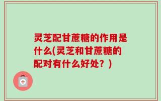 灵芝配甘蔗糖的作用是什么(灵芝和甘蔗糖的配对有什么好处？)