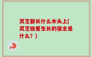 灵芝都长什么木头上(灵芝极爱生长的宿主是什么？)