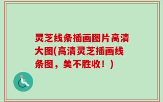 灵芝线条插画图片高清大图(高清灵芝插画线条图，美不胜收！)