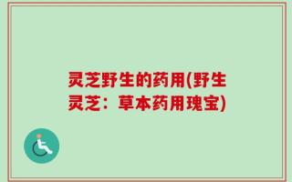 灵芝野生的药用(野生灵芝：草本药用瑰宝)