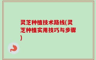 灵芝种植技术路线(灵芝种植实用技巧与步骤)