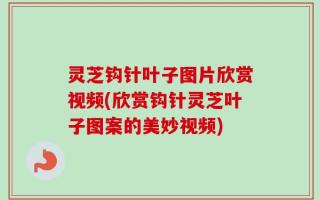 灵芝钩针叶子图片欣赏视频(欣赏钩针灵芝叶子图案的美妙视频)