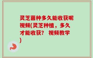 灵芝菌种多久能收获呢视频(灵芝种植，多久才能收获？ 视频教学)