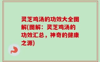 灵芝鸡汤的功效大全图解(图解：灵芝鸡汤的功效汇总，神奇的健康之源)
