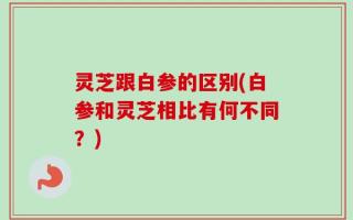 灵芝跟白参的区别(白参和灵芝相比有何不同？)